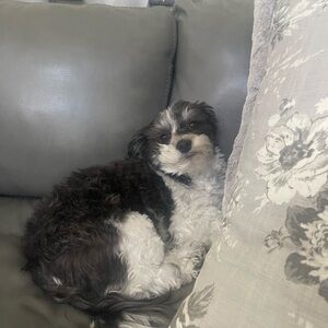 Meet your Posher, Kelcey